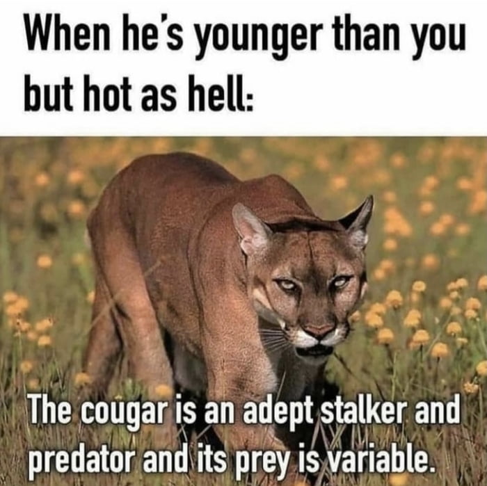 is-the-cougar-a-thing-still-you-think-9gag