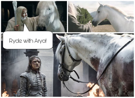 Image result for arya and white horse