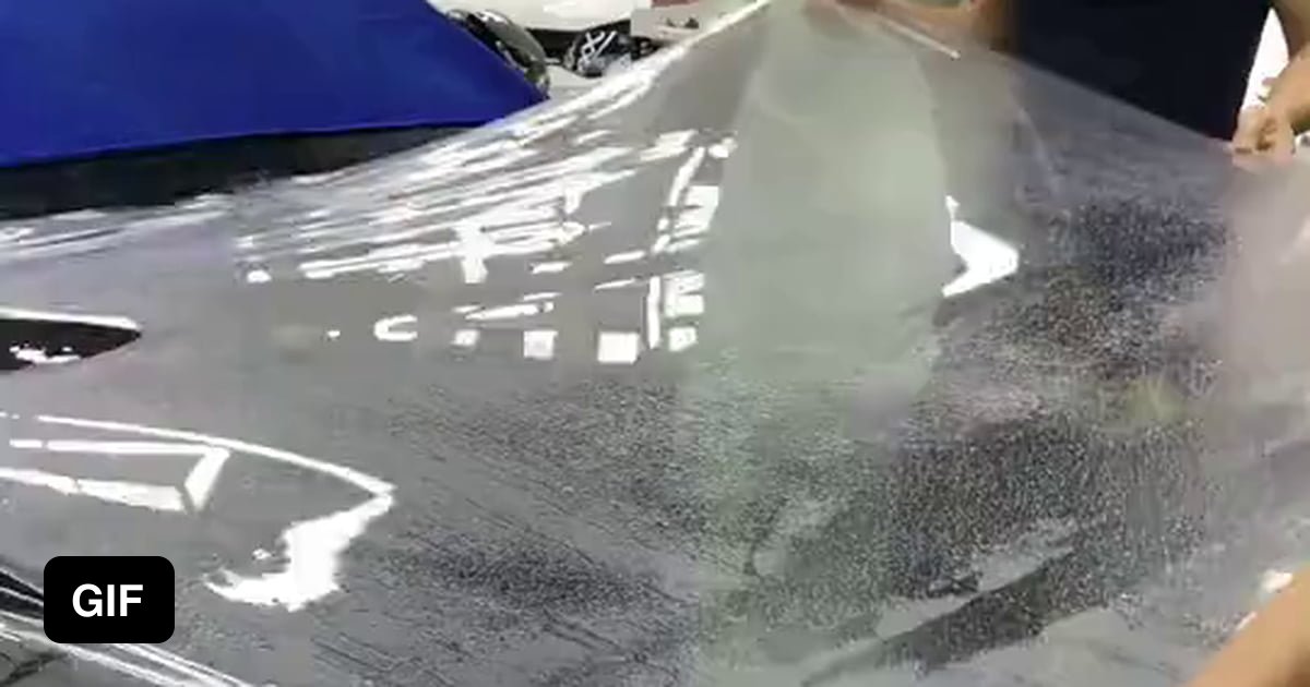 Car paint protector 9GAG