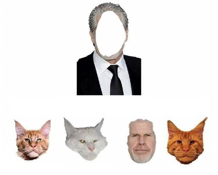 Рон перлман мем с котом