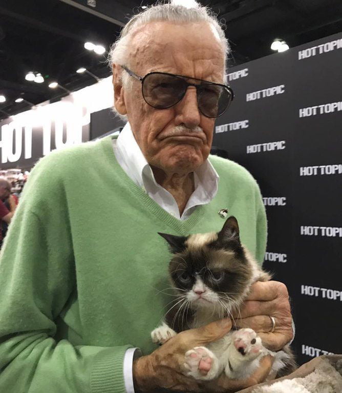 Image result for grumpy cat and stan lee