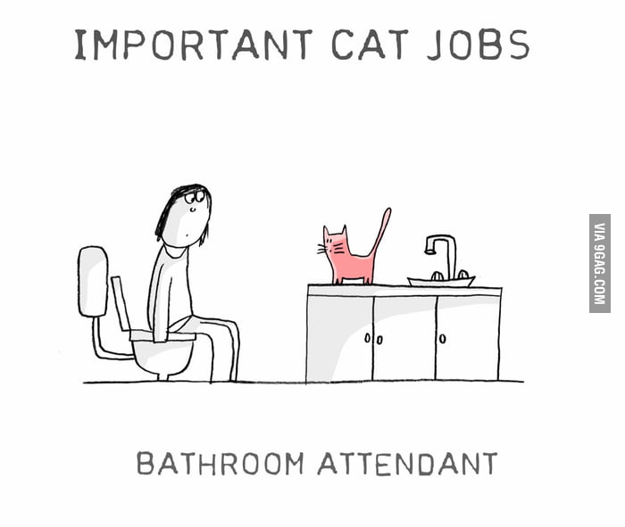 Cat Jobs - 9GAG