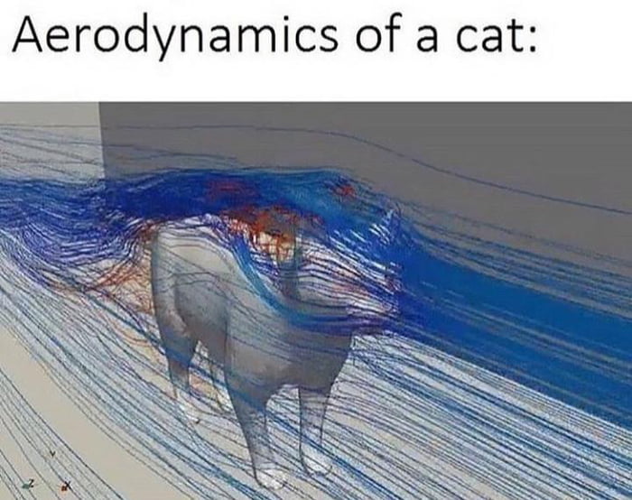 The Aerodynamics Of A Cow - All About Cow Photos