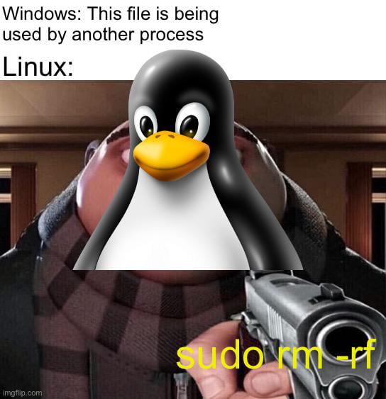 Linux Delete System Command Meme DeletingFilesOnLinux - 9GAG