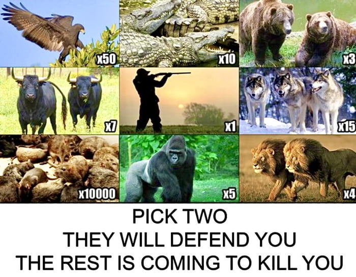 10000 Rats Question I would take 20k rats - 9GAG