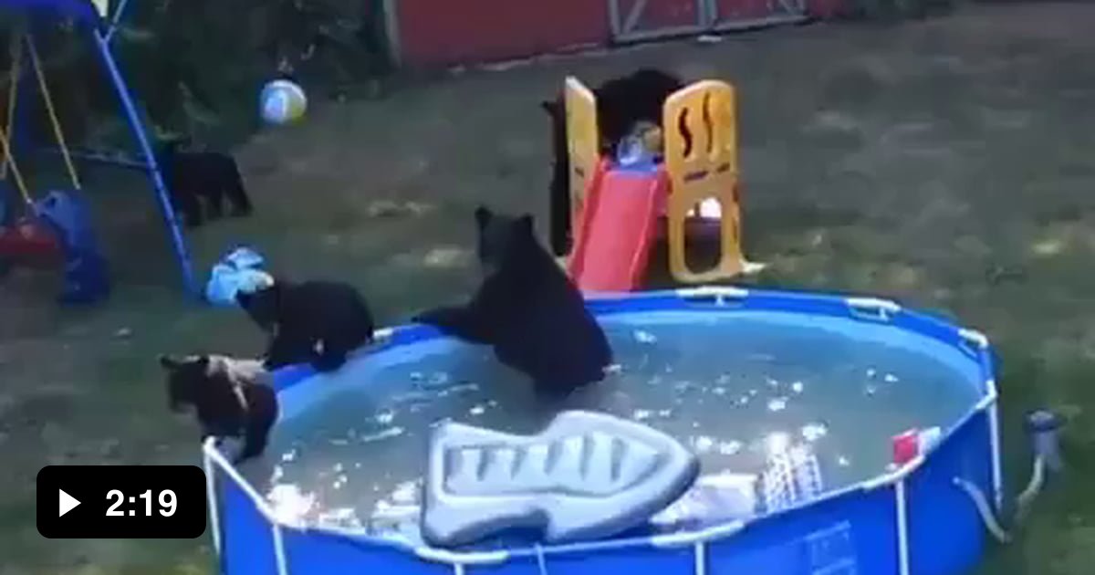 Mother breaks into neighbor's backyard so she and her 5 children can ...
