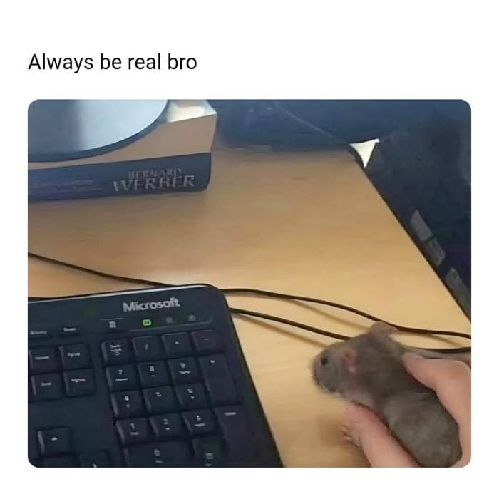 That's a real mouse right there - 9GAG