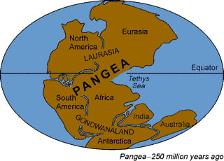 pangea map with continents labeled