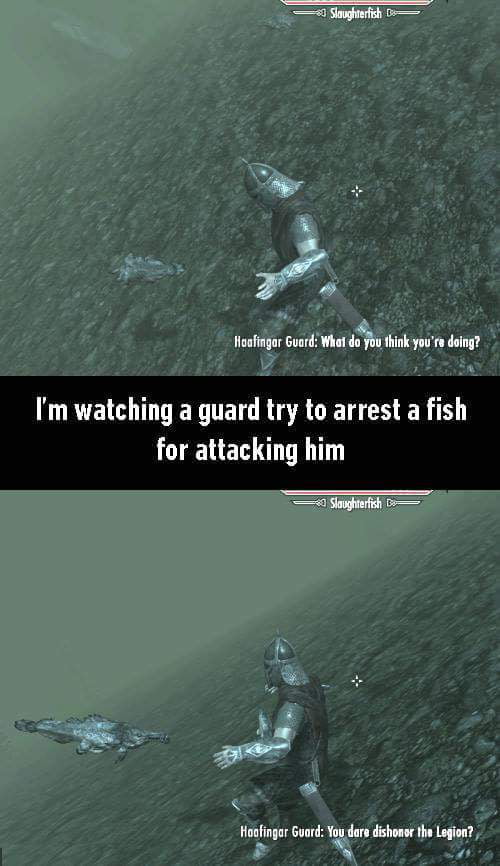 Got to love Elder Scrolls - 9GAG