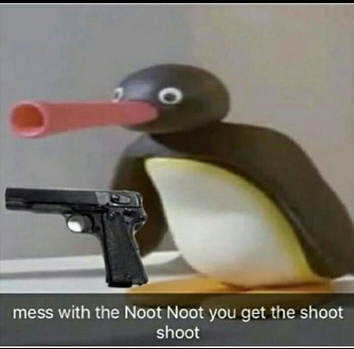 Noot Noot For President 9gag