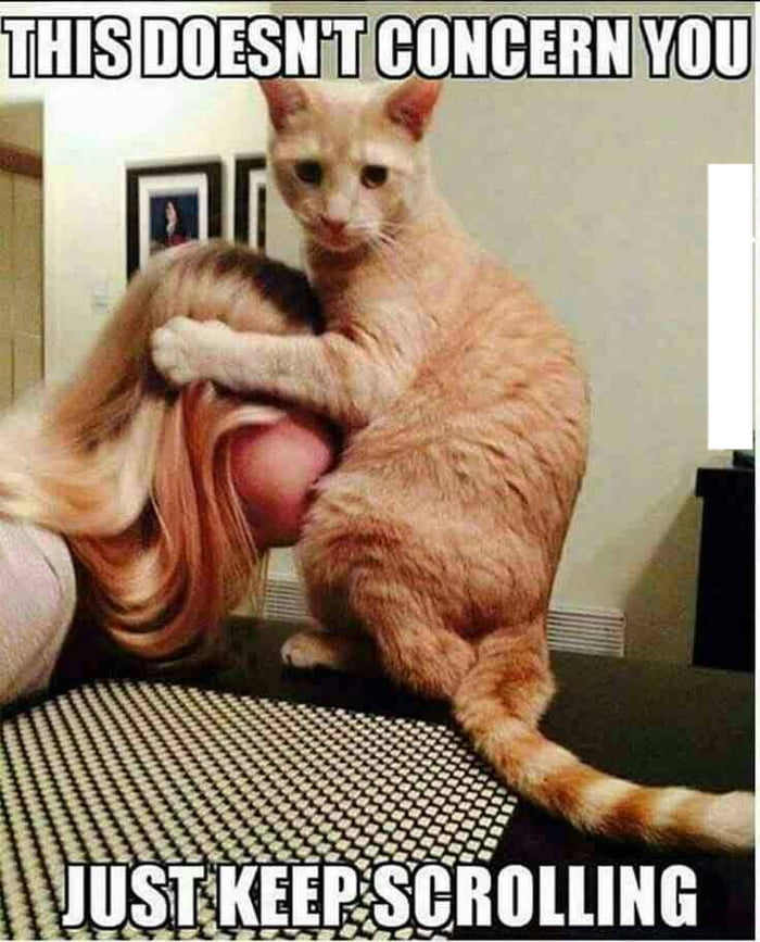 Кошка ххх