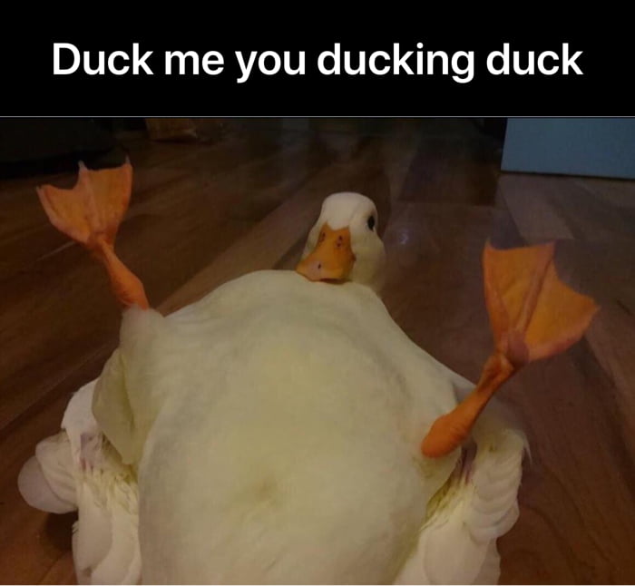 Dolan what ur doin, Dolan stahp. - 9GAG