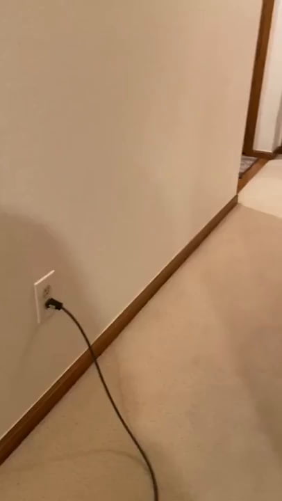 Pig has learnt how to stop that annoying vaccum noise.
