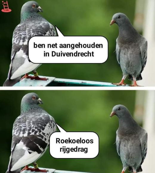 Roekoe - 9gag