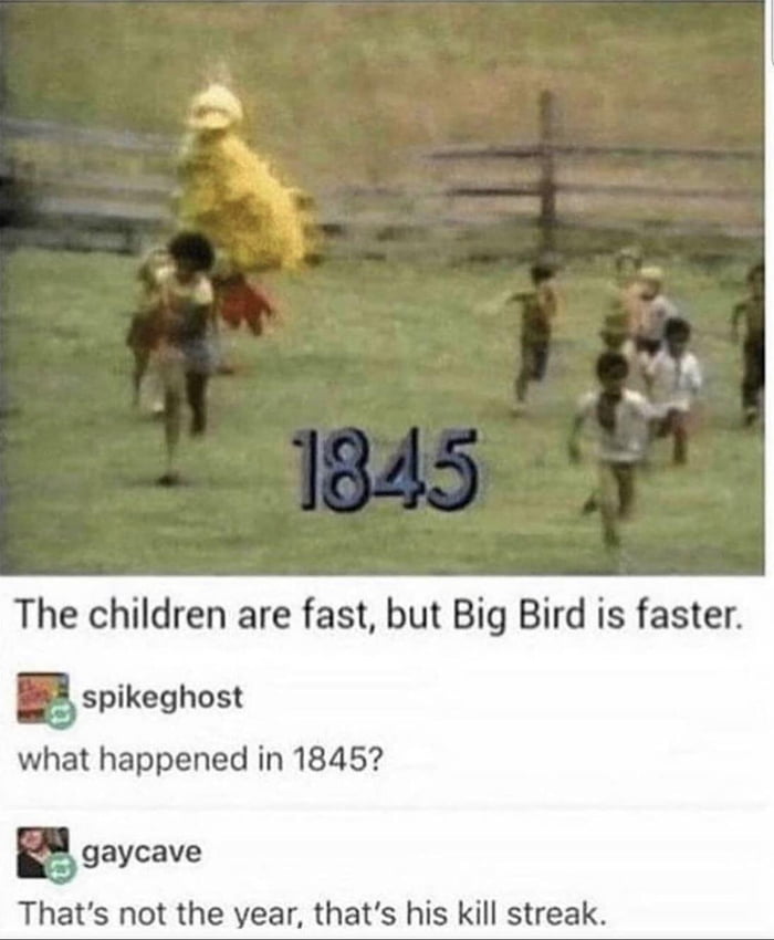 Who knew big bird was such a pro gamer - 9GAG