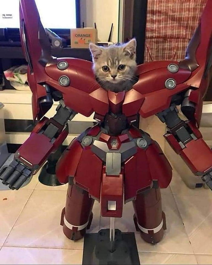 a robot cat