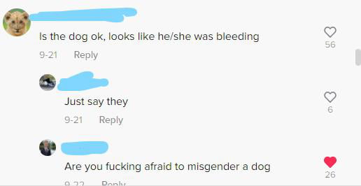 Scared to misgender the dog - 9GAG