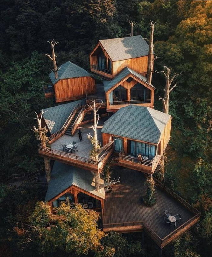 Tree house in the jungle - 9GAG