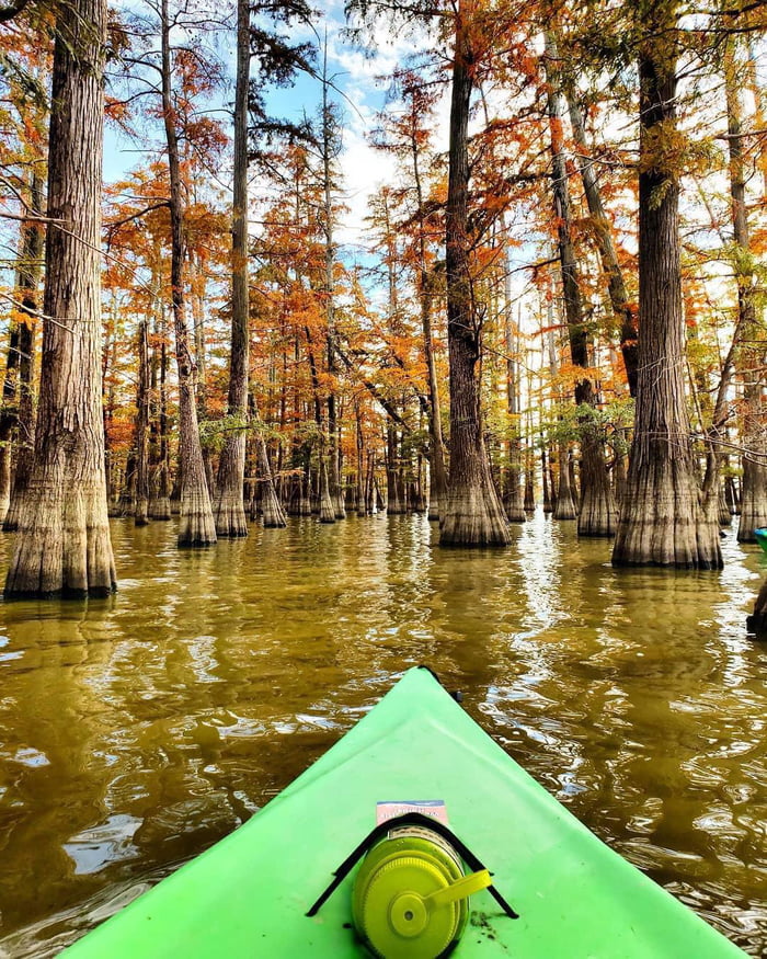 Kayaking through the Hovey Lake and Fish Wildlife Area in Southern