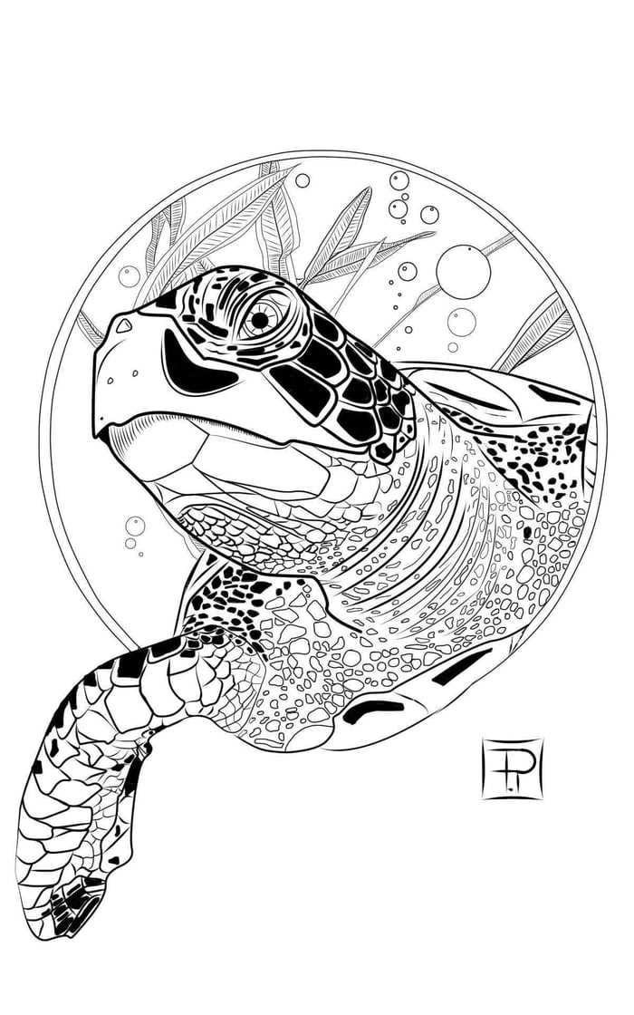 Tried some digital Art tools, ended up with an angry sea turtle - 9GAG
