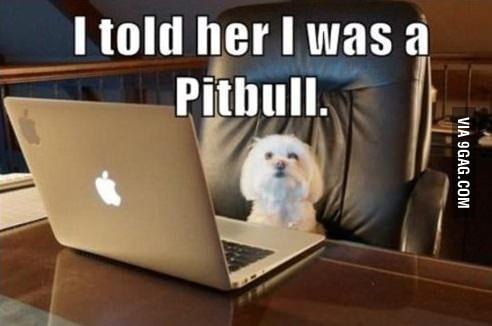 online dating in a nutshell