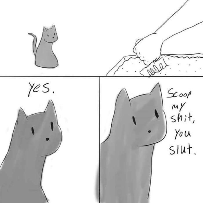 Cats are jerks 9GAG