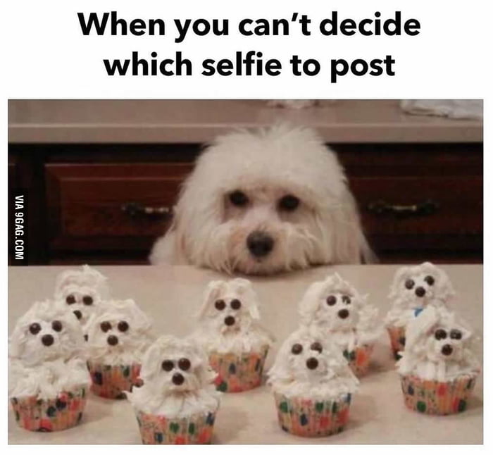 The Hardest Decision Ever 9GAG The Hardest Decision Ever 9GAG