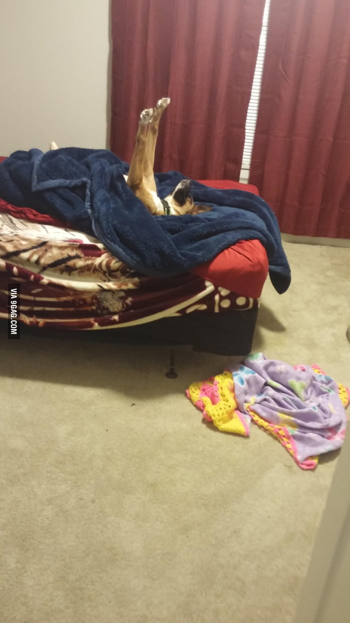 This Is How She Sleeps 9gag 