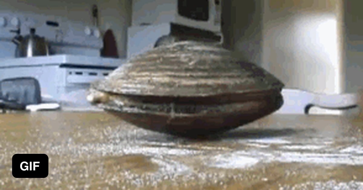 Clam eating salt. 9GAG