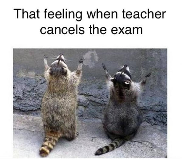 That Feeling When Teacher Cancels The Exam - 9gag