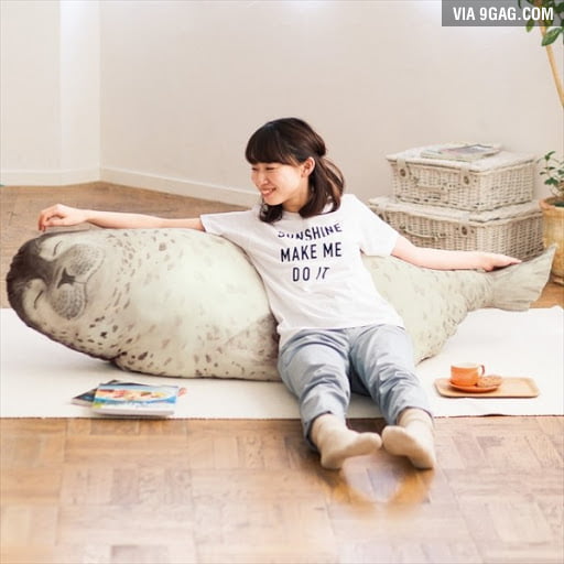 seal cushion amazon