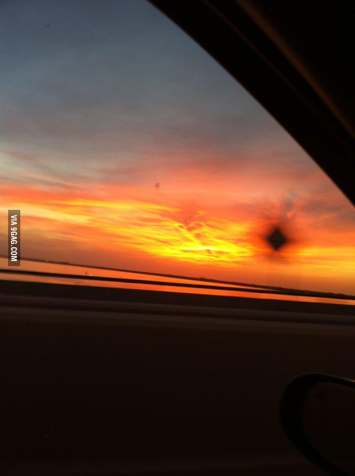 wtf-is-this-9gag