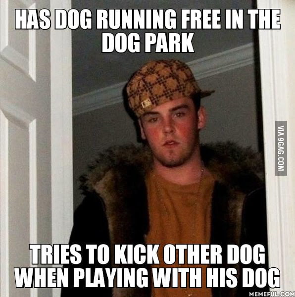 He tried to kick my dog away from playing with his dog 9GAG