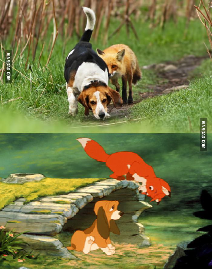My first thought when I saw it. - 9GAG