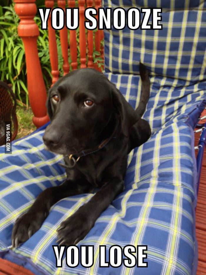 i-left-my-chair-for-two-seconds-to-get-a-beer-9gag