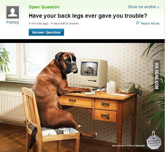 my-legs-hurt-9gag