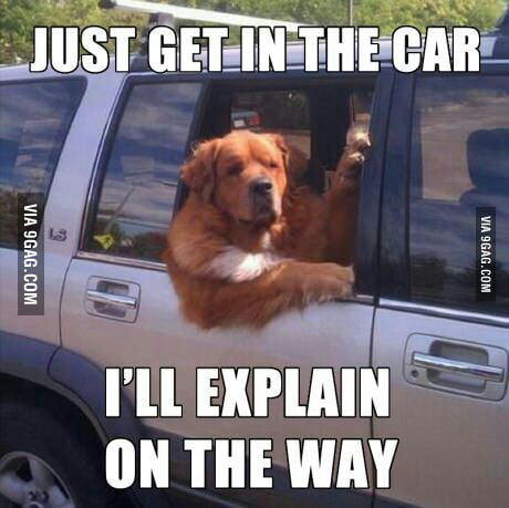 Just Get In The Car 9GAG