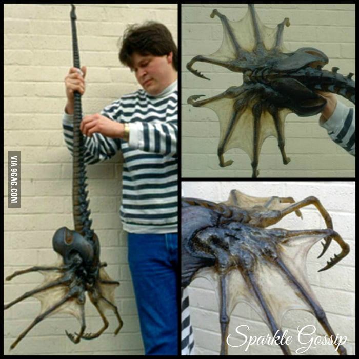 Maybe it's Cthulhu's doing, maybe it's a FaceHugger, but I'm sure that