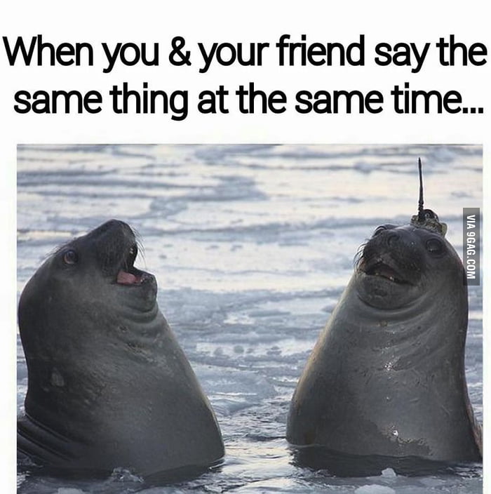 When You And Your Friend Say The Same Thing At The Same Time 9GAG