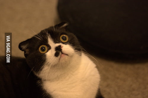 When you realize why your birthday is 9 months after your mum's... - 9GAG