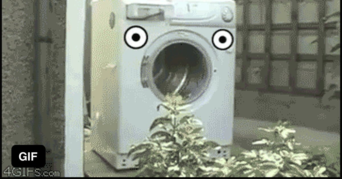 Poor washing machine 9GAG
