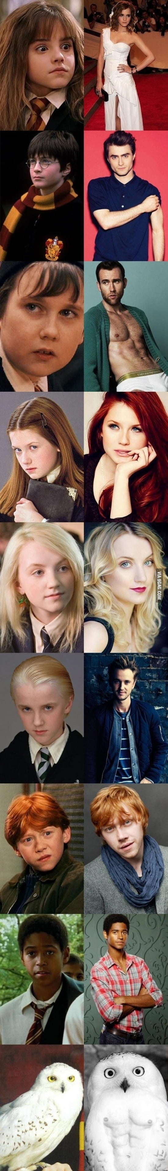 Everyone in Harry Potter has changed