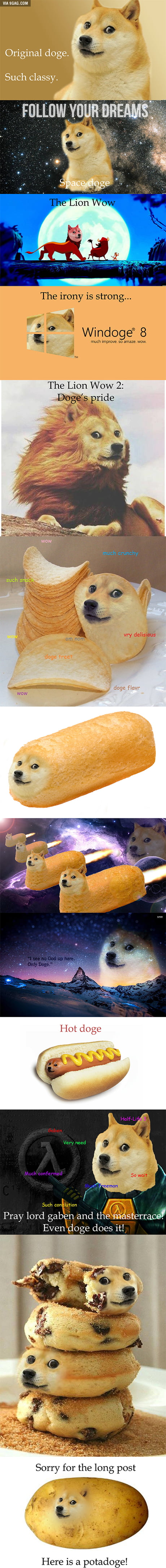 Doge At Its Finest 9gag