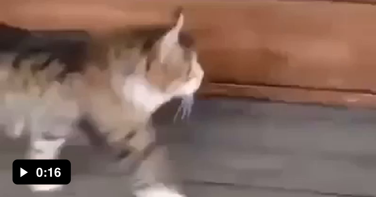 When You Try To Sing A Song Without Music 9GAG