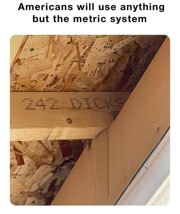 I d best buy 242 dicks from lowes 9gag