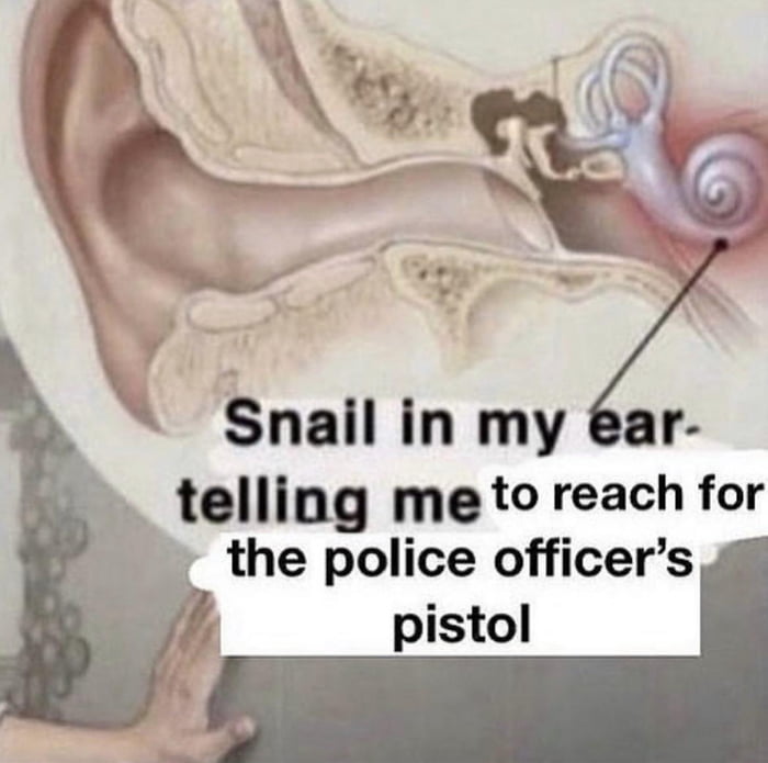 snail-knows-best-9gag