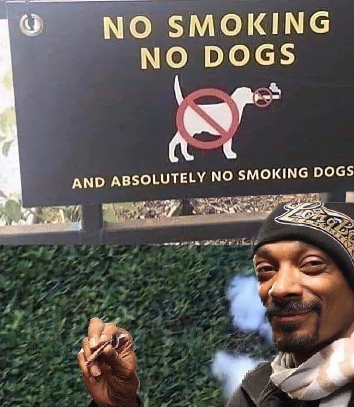 No smoking dogs - 9GAG