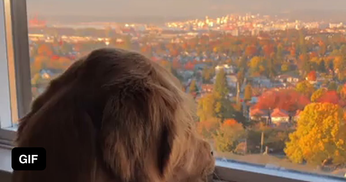 Makes It Seem Like Synonyms