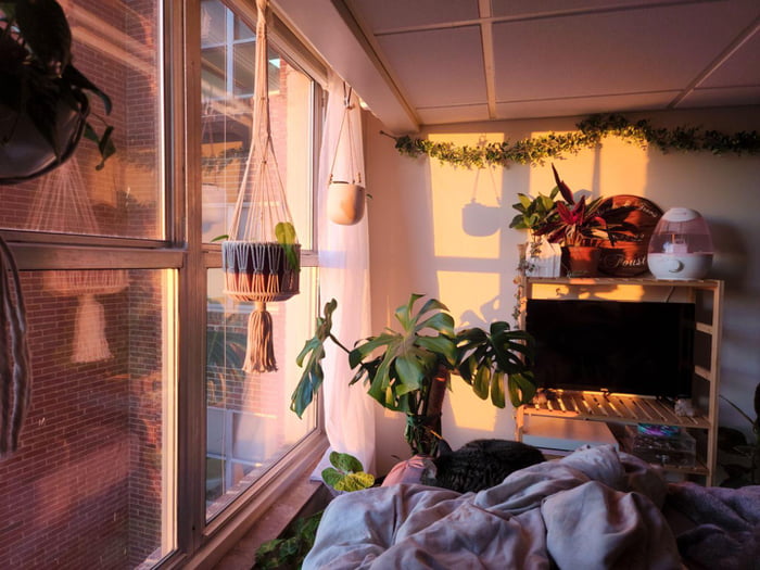 It’s still a dorm, but at least it has plants 9GAG
