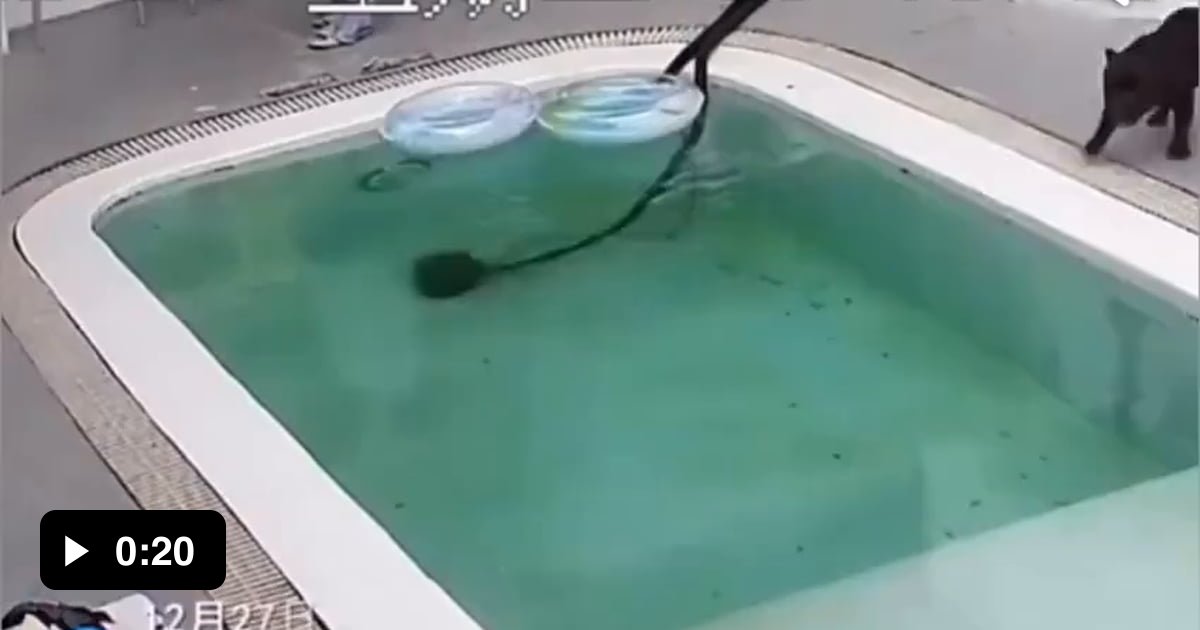 When you show off without knowing how to swim 9GAG